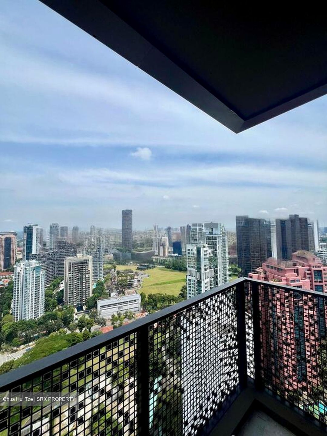 Irwell Hill Residences (D9), Apartment #455595111